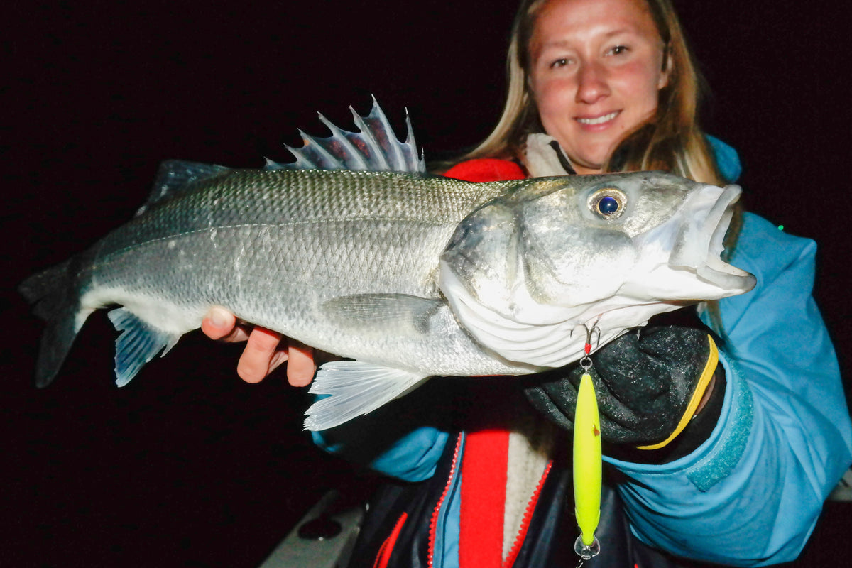 Night fishing for seabass in the Netherlands
