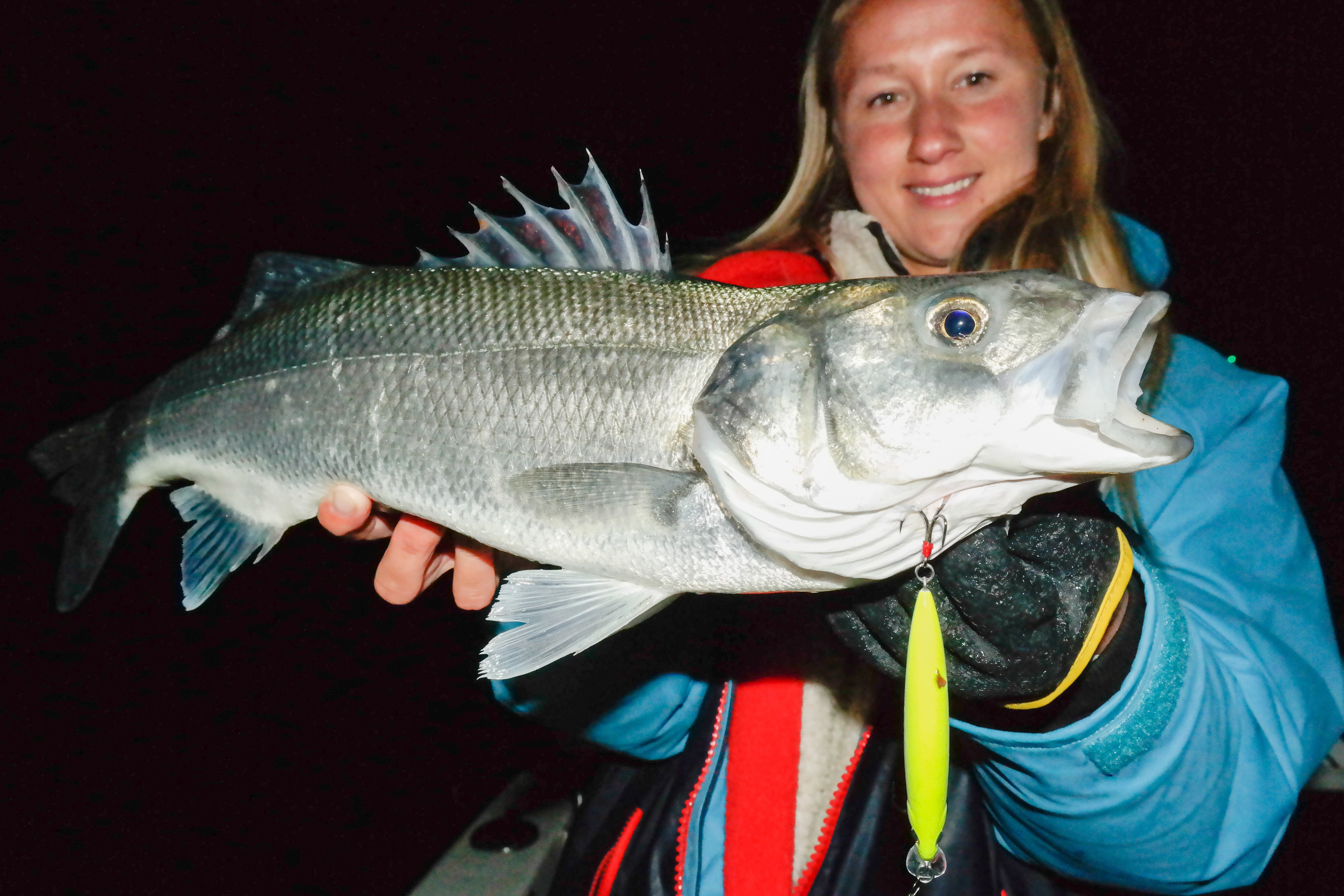 Night Fishing for Seabass
