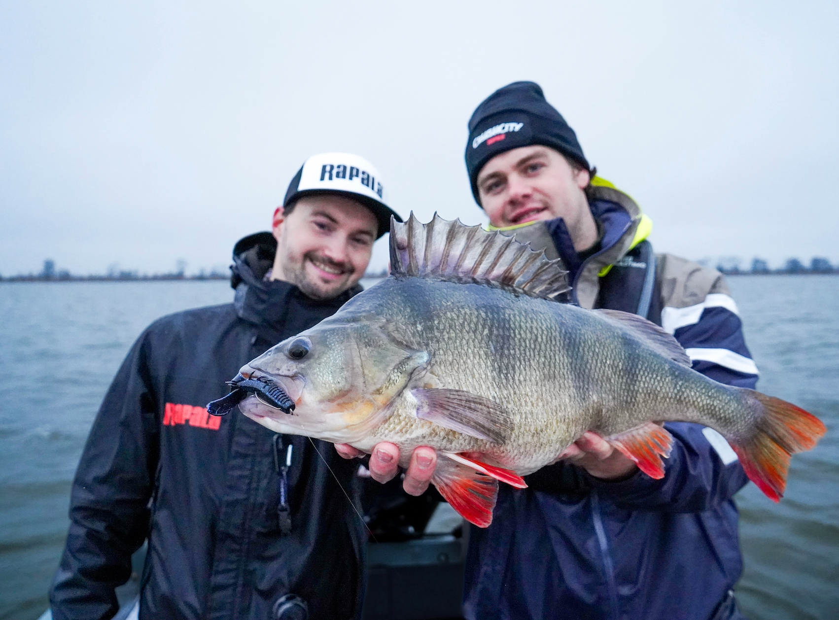 Rapala CrushCity 54 cm Perch Clean Up Craw