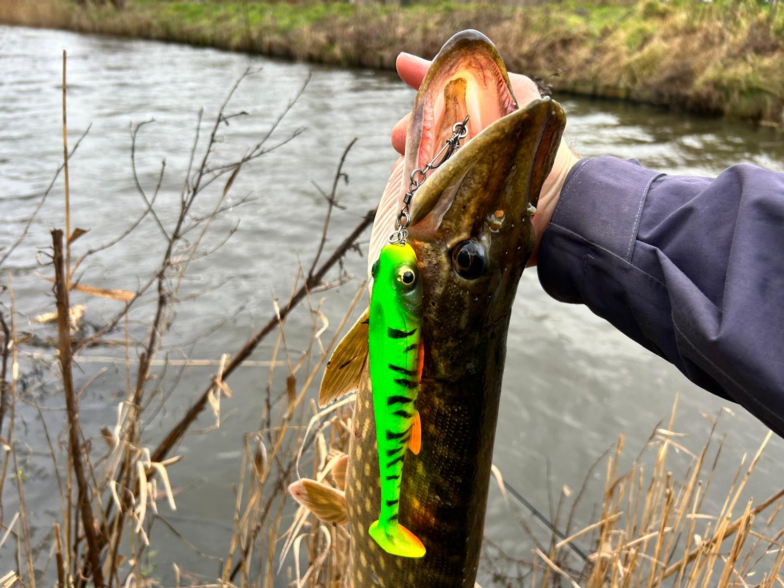Close-up of a handpoured and handpainted U-BAiT U-Shad fishing lure for big pike, available in 14 cm, 17 cm, and 22 cm sizes
