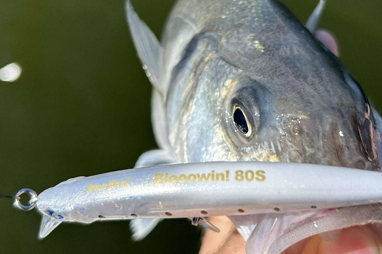 BlueBlue Blooowin 80S compact sinking jerkbait with tungsten weight and dual-action motion for versatile fishing