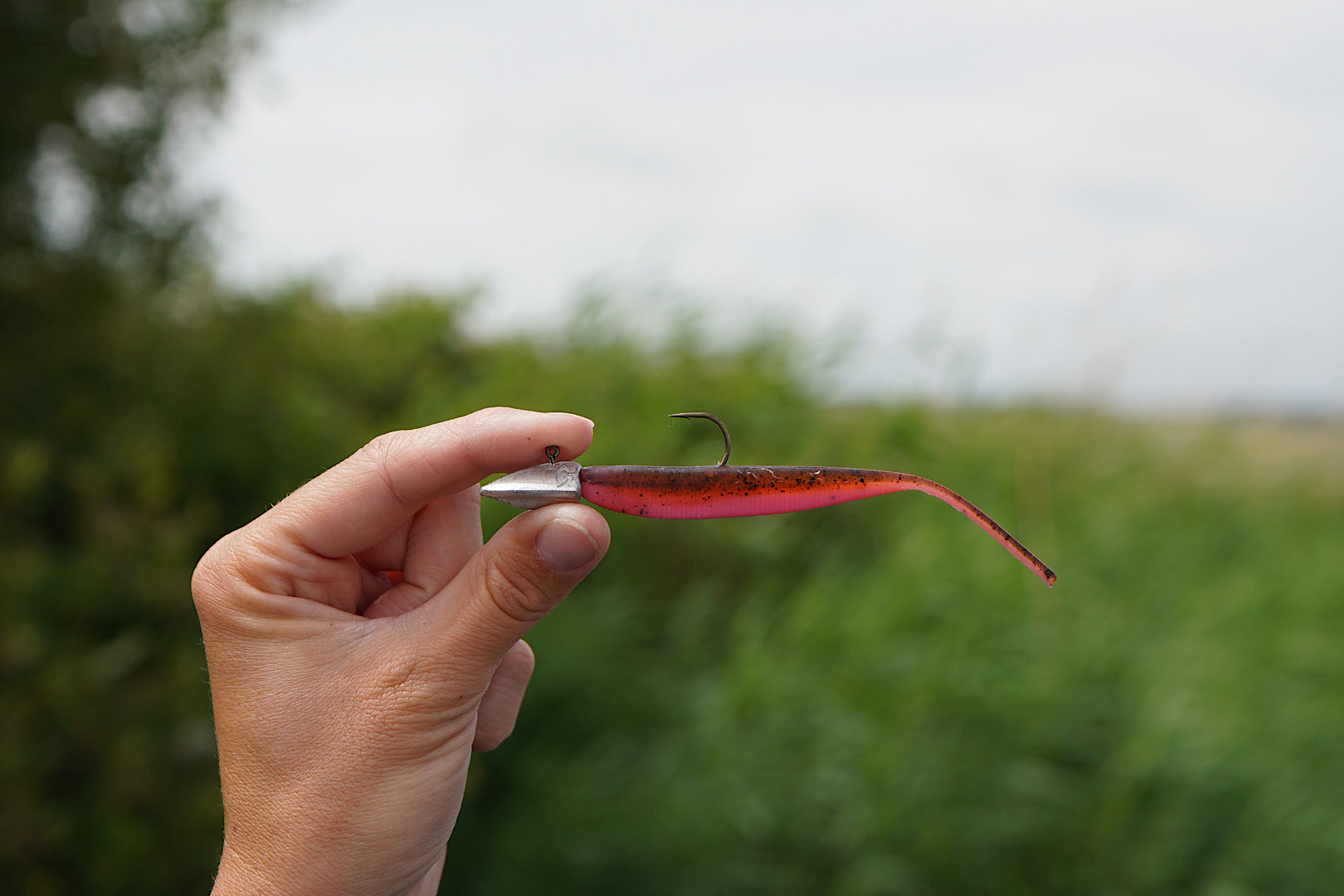 Capt'n Greenfin 10cm protein softbaits for sustainable fishing with flavor release and natural bait degradation
