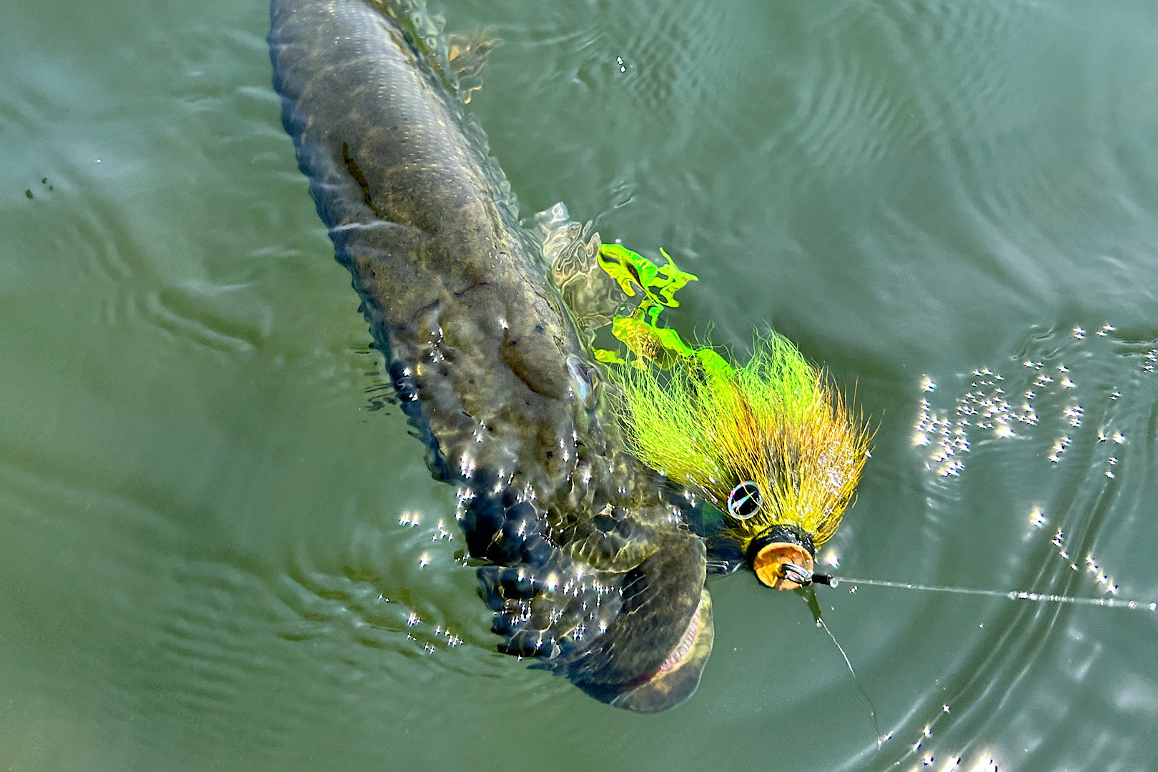 Charlie's Mustache Mouse Baby Combo