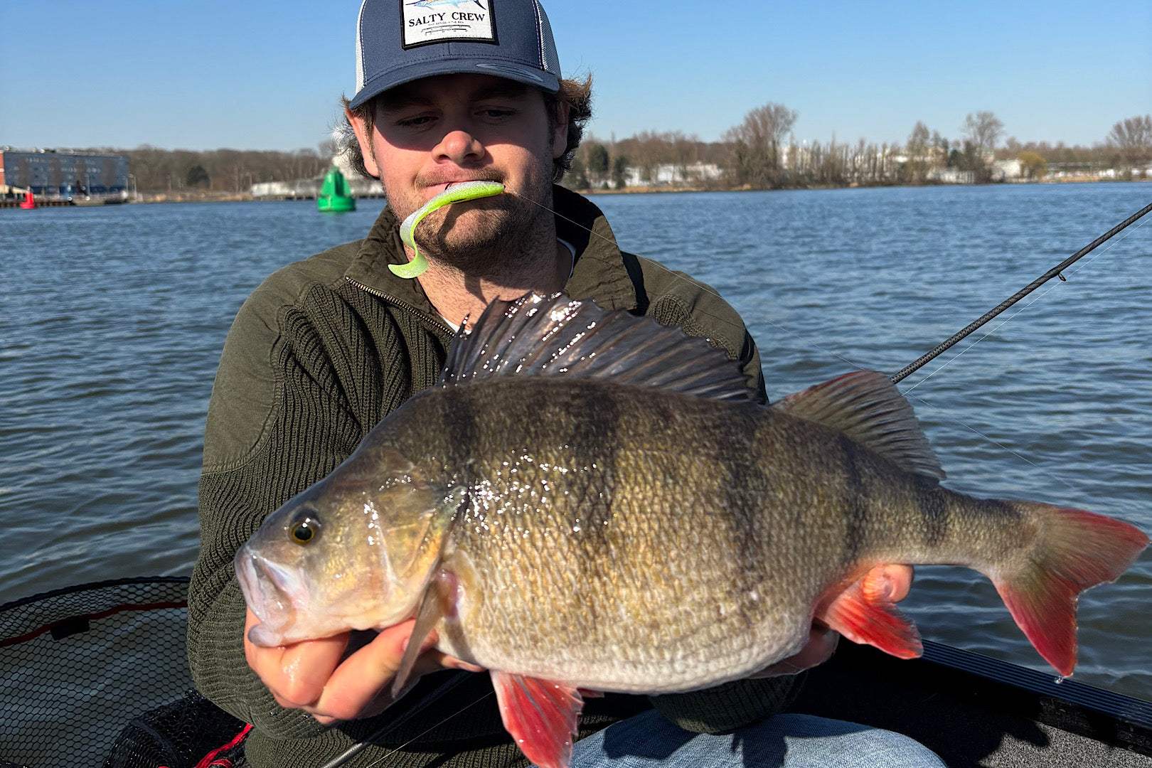 Rapala CrushCity The Curl