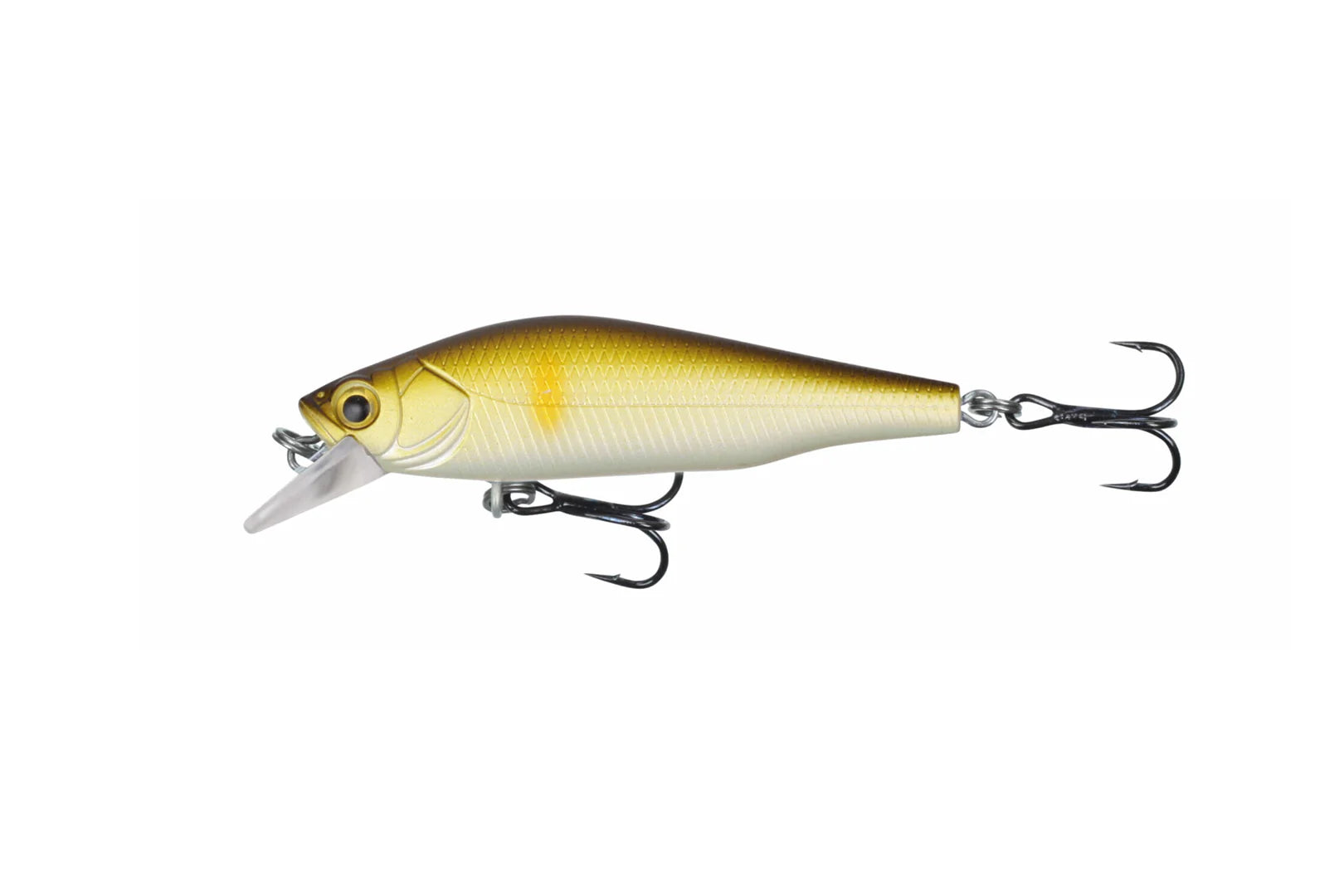 Stucki Fishing