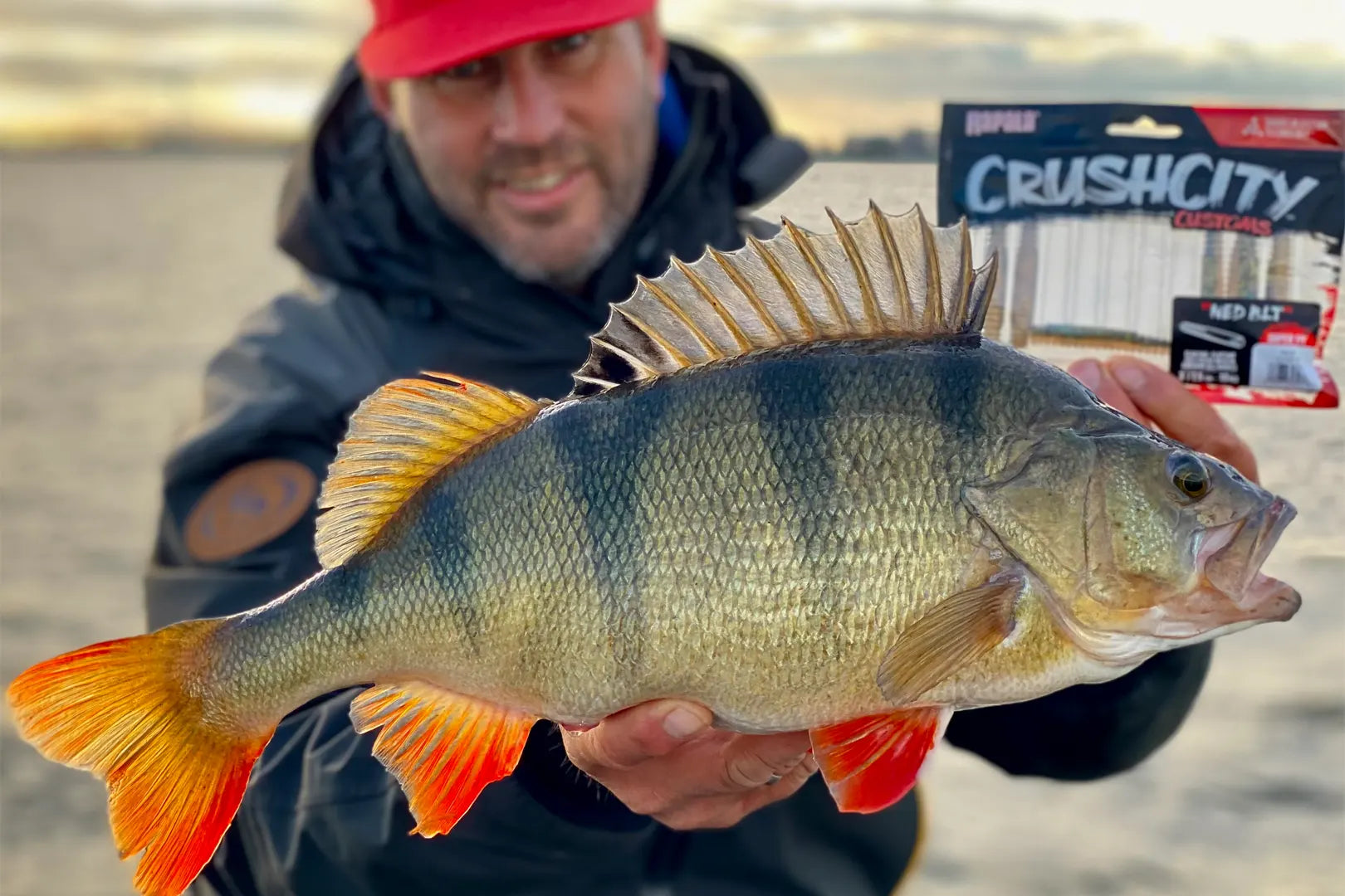 Rapala Crushcity Ned's BLT