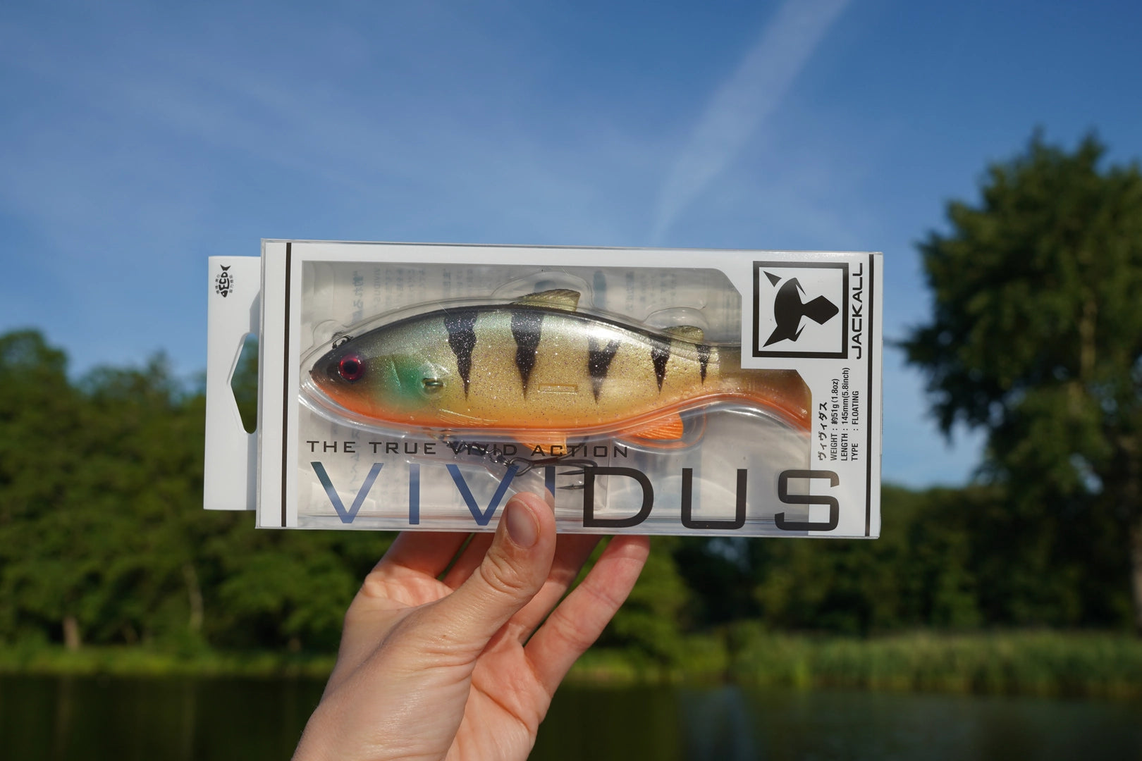 Jackall Vividus