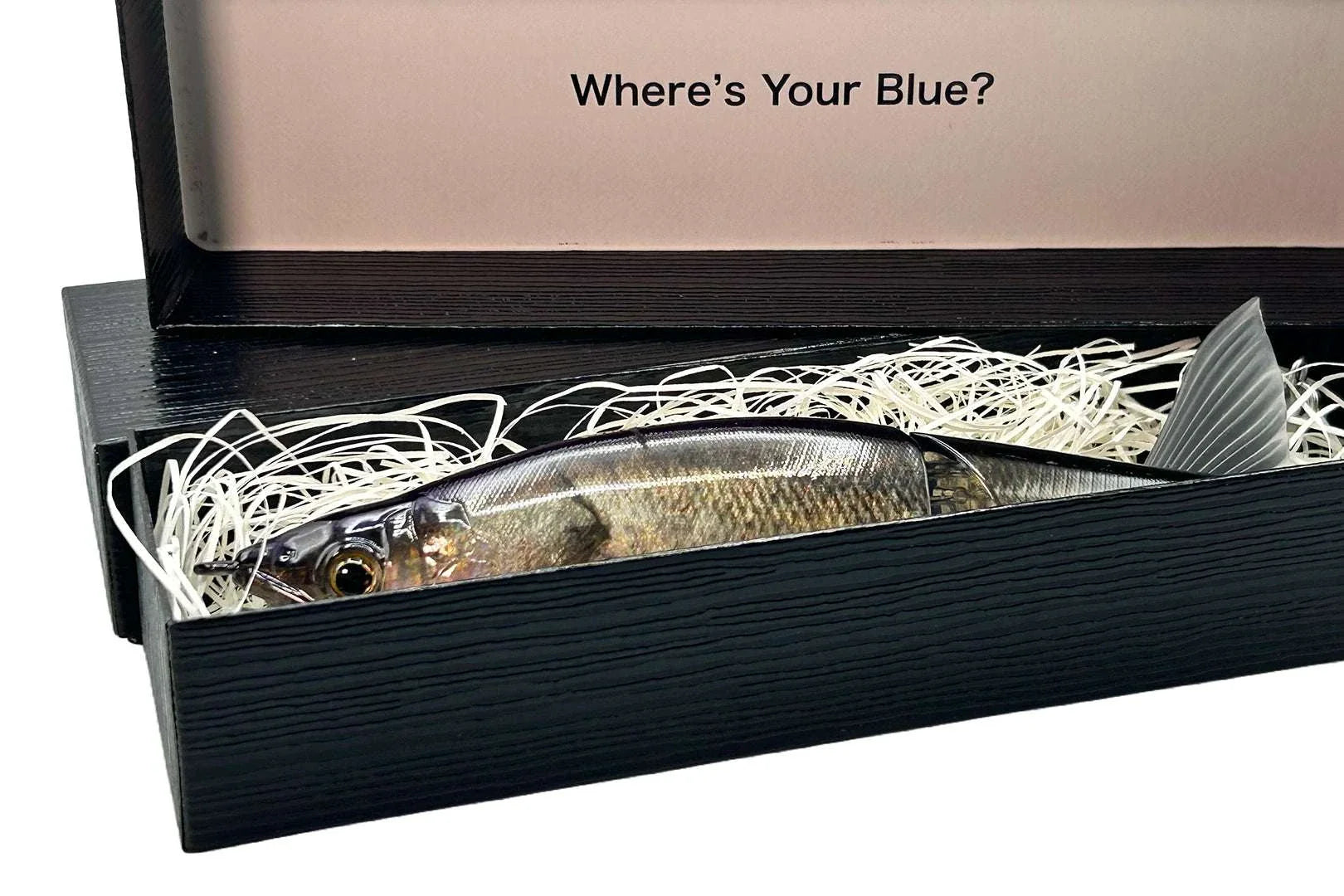 Gan Craft X BlueBlue