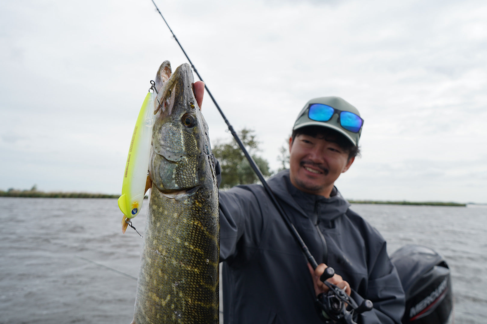 BlueBlue Snecon 150S