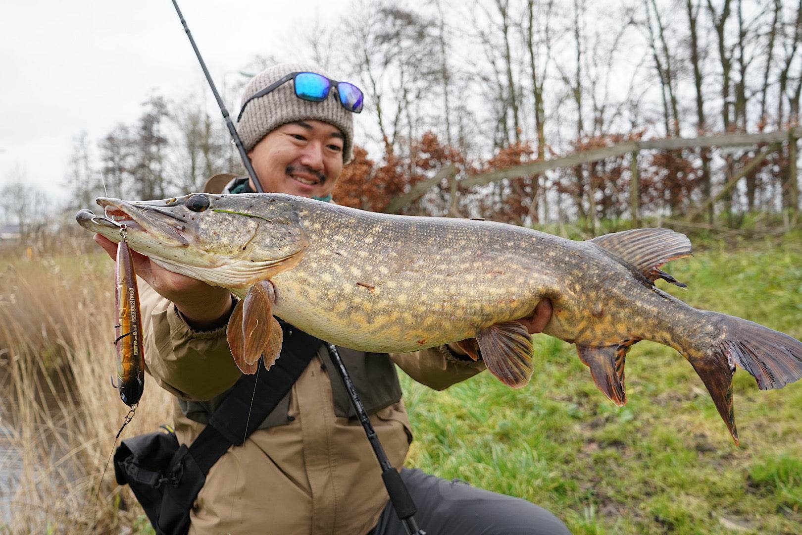 BlueBlue Snecon 150S