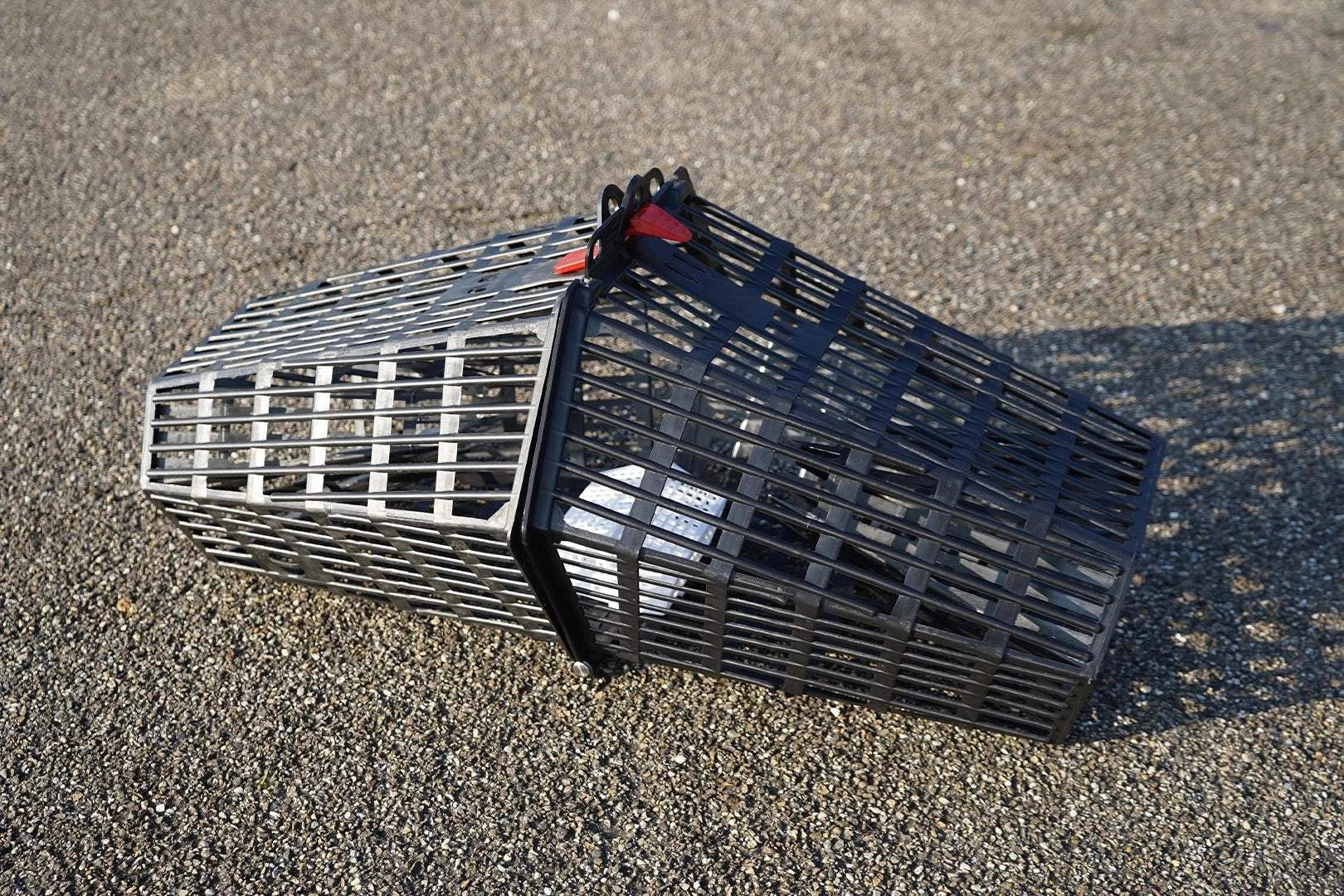 Professional crab and crayfish trap pod for freshwater capture with weighted base and selective design