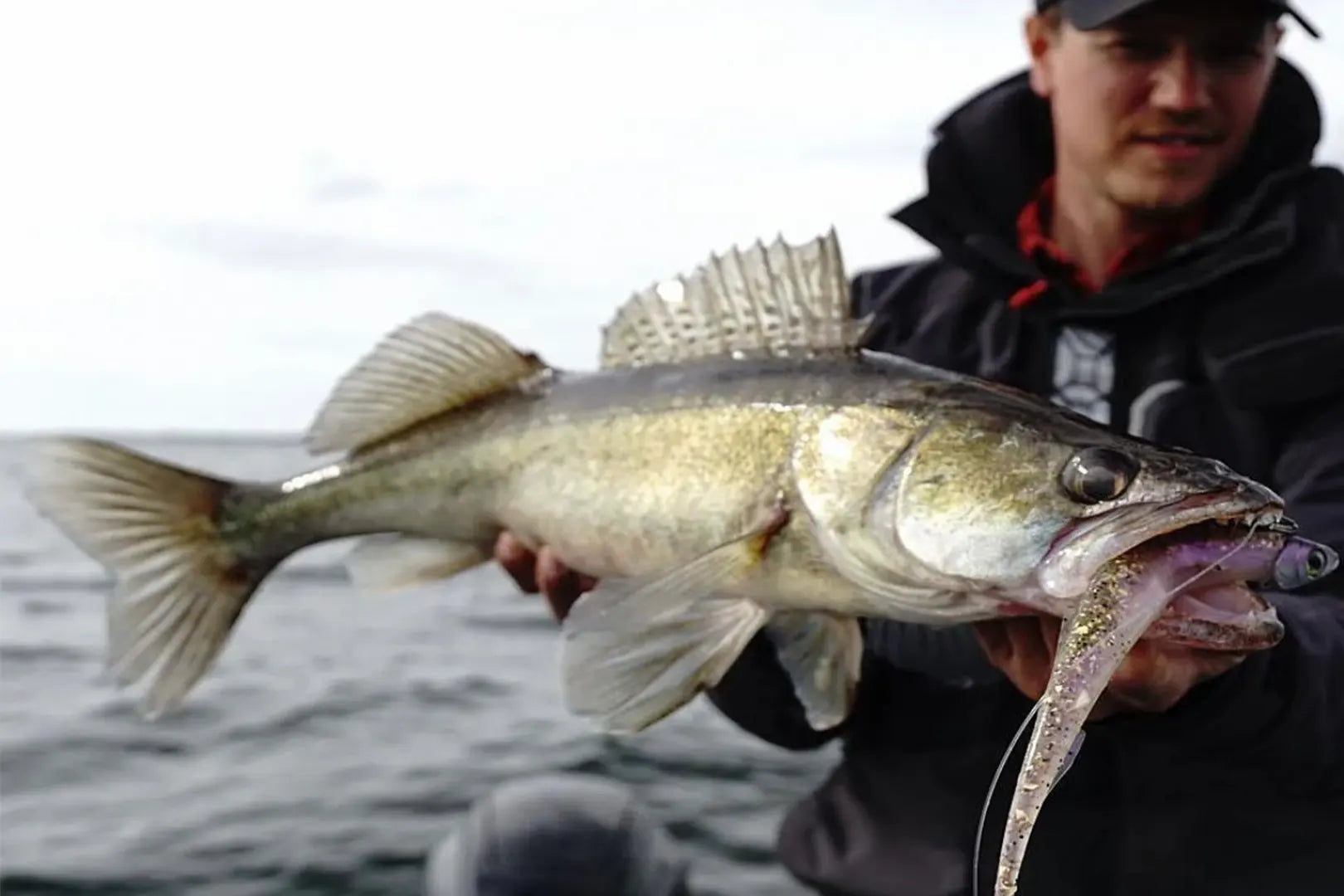 Revolution Tackle Hel Shad
