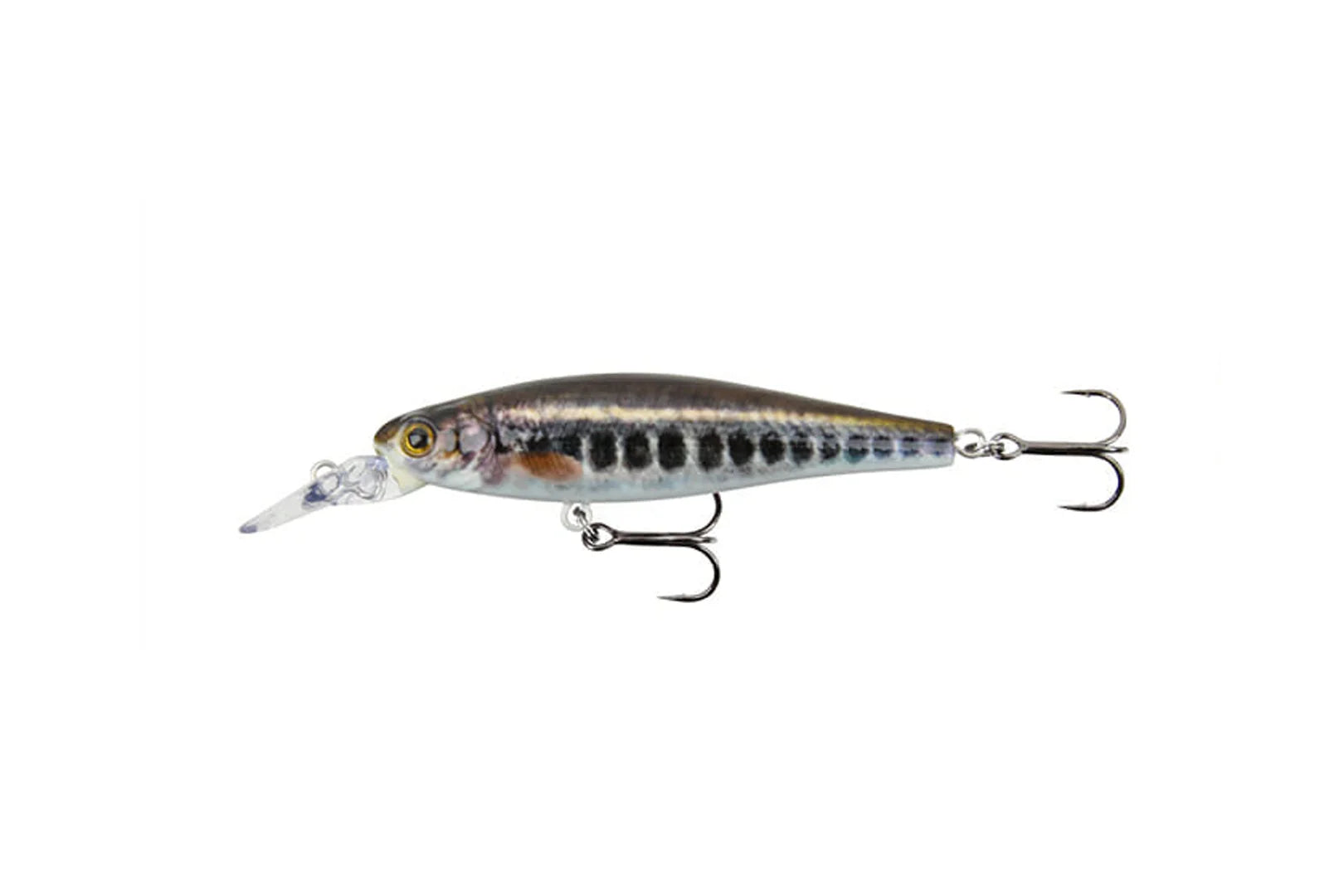 Stucki Fishing
