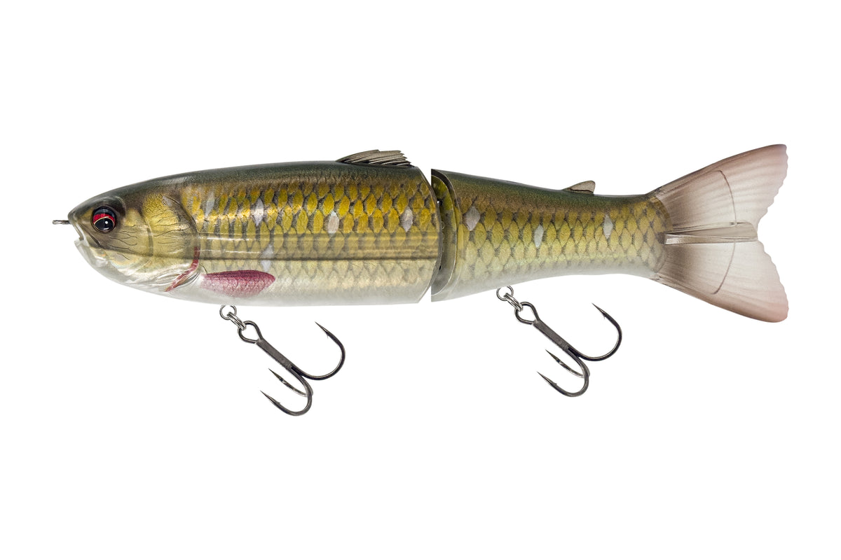 Savage Gear Wide Glide Scandal glidebait for pike in Dirty Roach