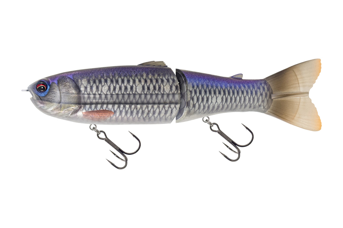 Savage Gear Wide Glide Scandal glidebait for pike in Roach