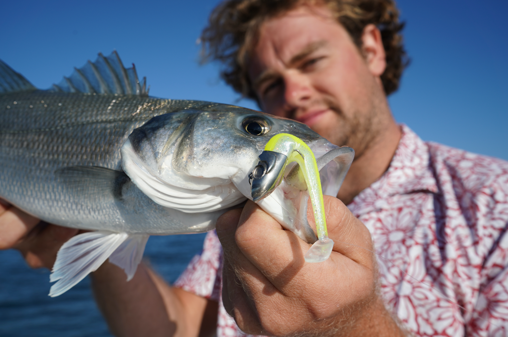 Load video: Seabass fishing