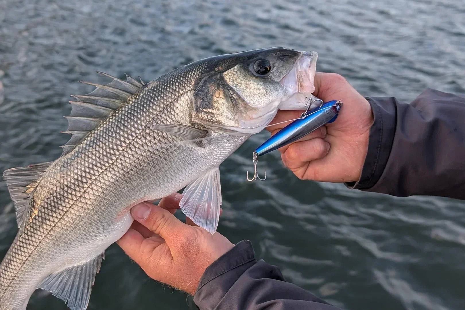 BlueBlue Snecon 90s | Japanese Fishing Tackle now in Europe