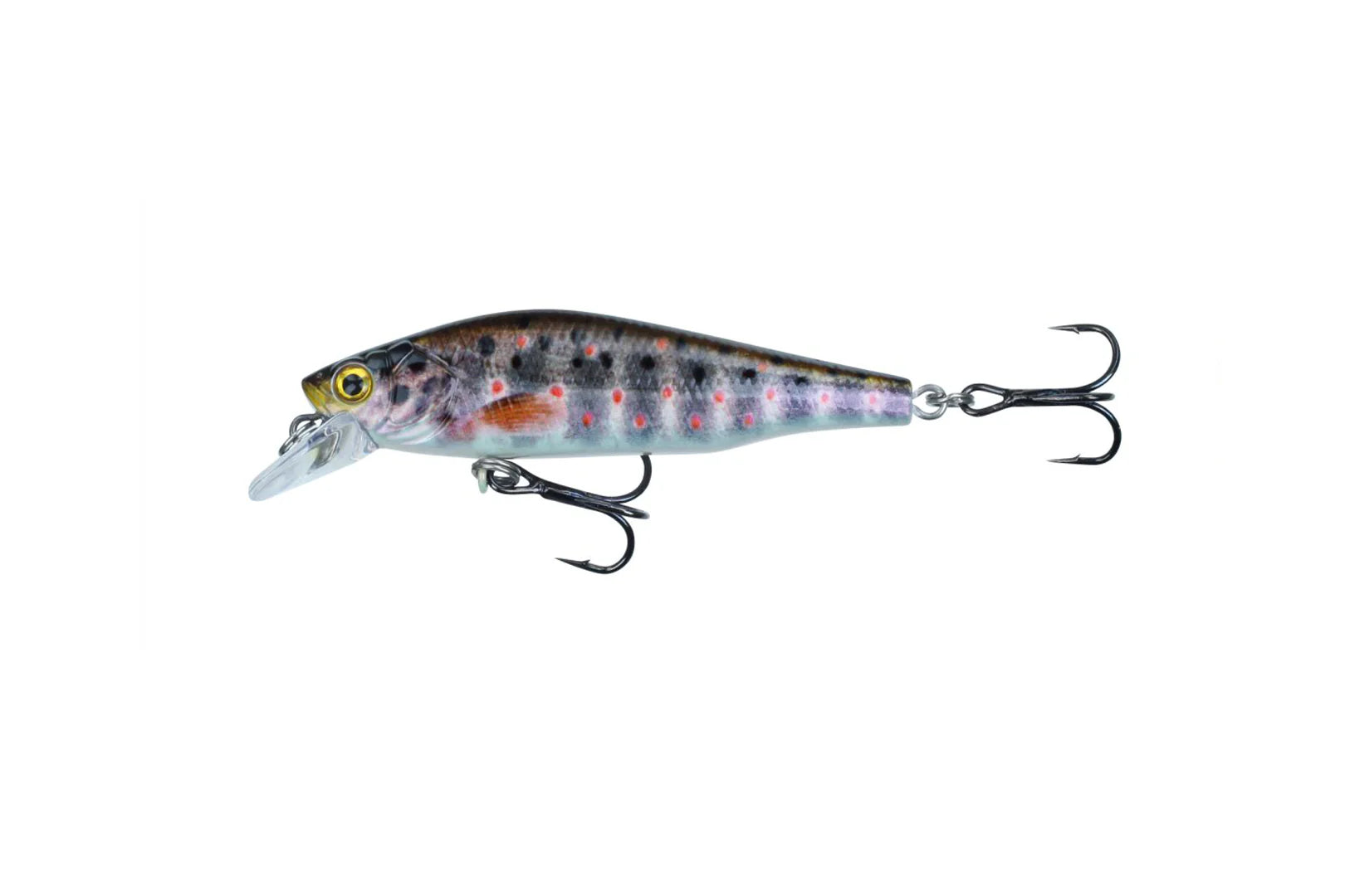 Stucki Fishing
