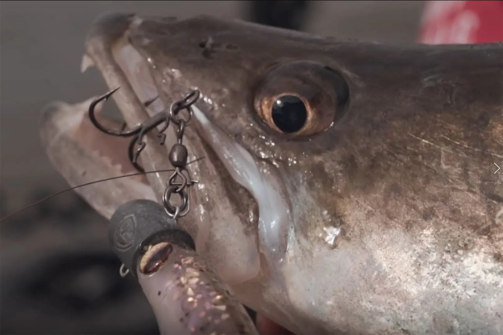 Revolution Tackle