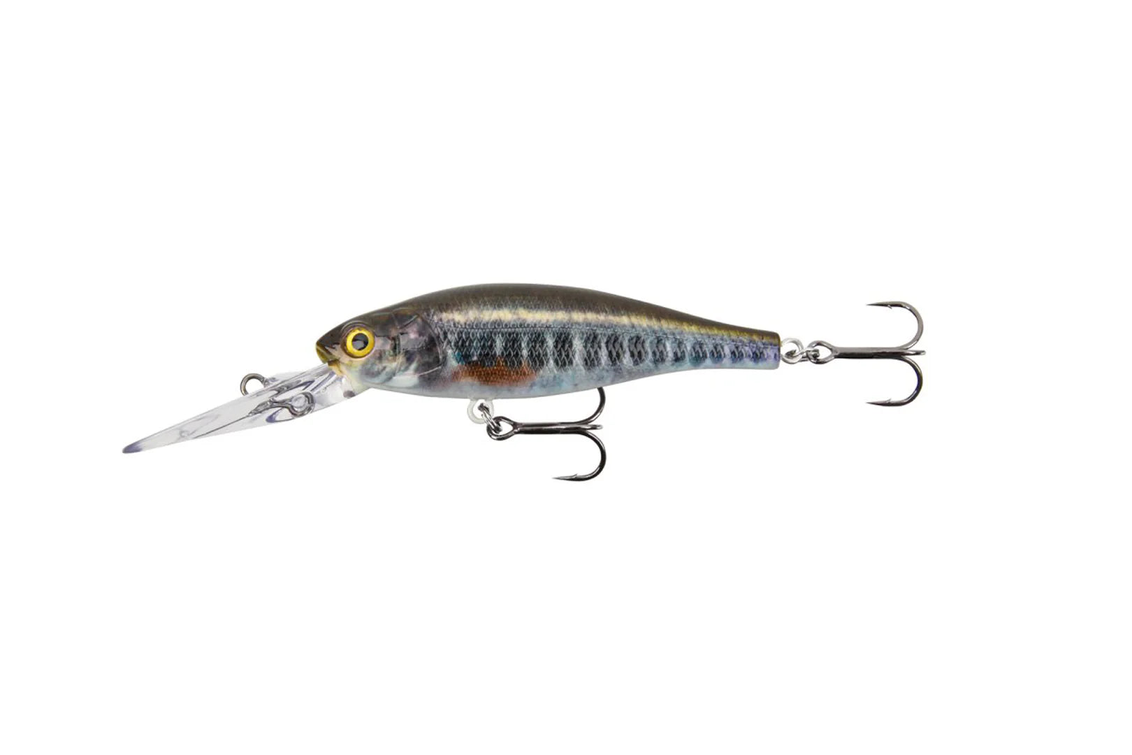 Stucki Fishing