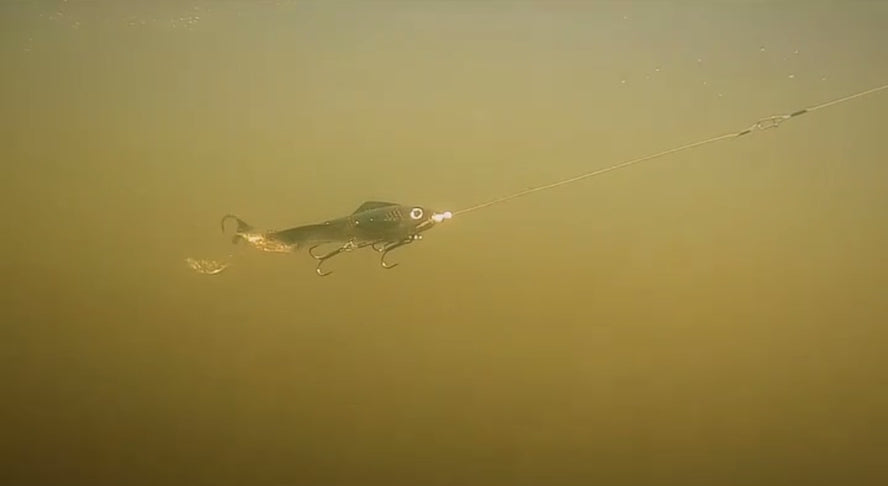Everbait 3 Tail