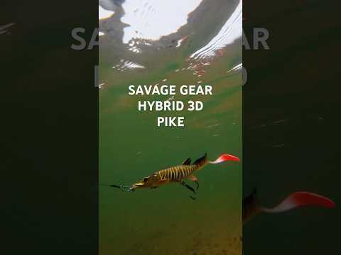 Charger la vidéo: Savage Gear 3D Hybrid Pike 17 cm