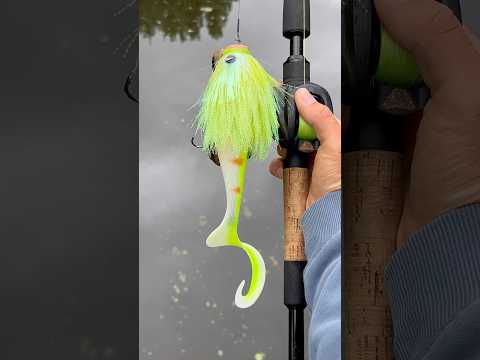 Charger la vidéo: Charlie's Mustache Otus Combo