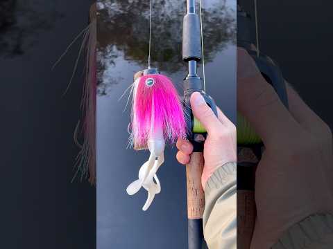 Load video: Charlie's Mustache Mouse Combo