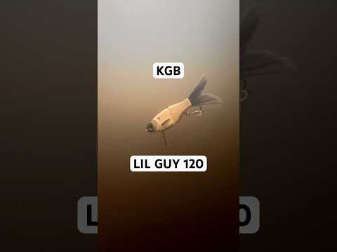 Load video: SPRO KGB Lil Guy 120