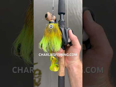 Video laden: Charlie's Mustache Mouse Baby Combo