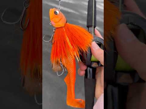 Video laden: BIM Tackle Shallow Cruiser