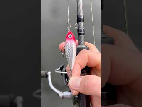 Load video: Rapala X-Light Pencil