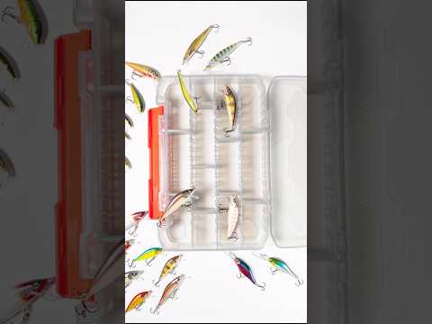 Load video: Rapala Tackle Tray