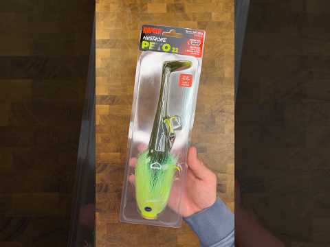 Load video: Rapala Soft Peto Mustache 24 cm