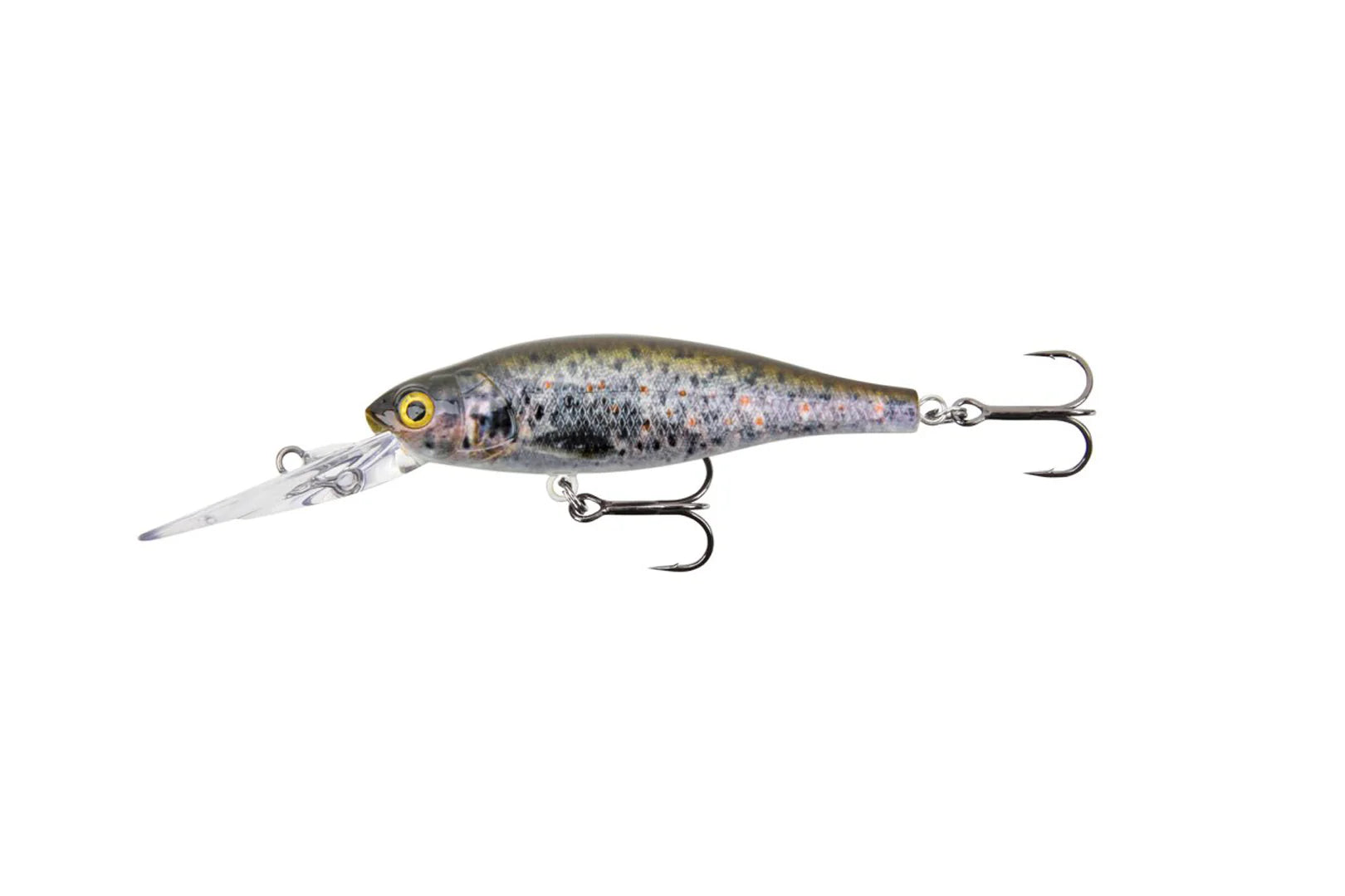 Stucki Fishing