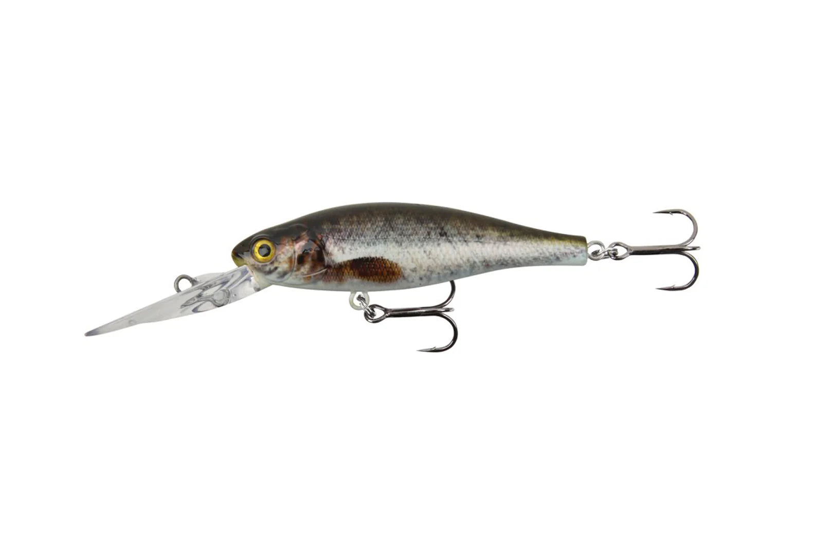 Stucki Fishing