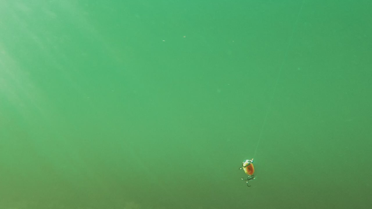 Rapala Shad Rap Elite 75