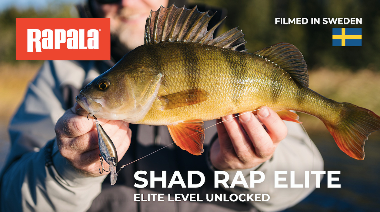 Rapala Shad Rap Elite 55