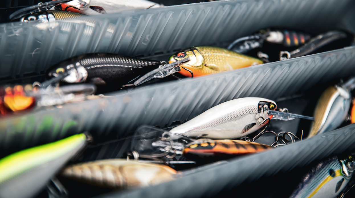 Rapala Shad Rap Elite 75