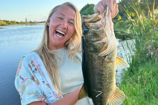 Assortment of bass fishing lures and rigs for largemouth and smallmouth bass in European waters