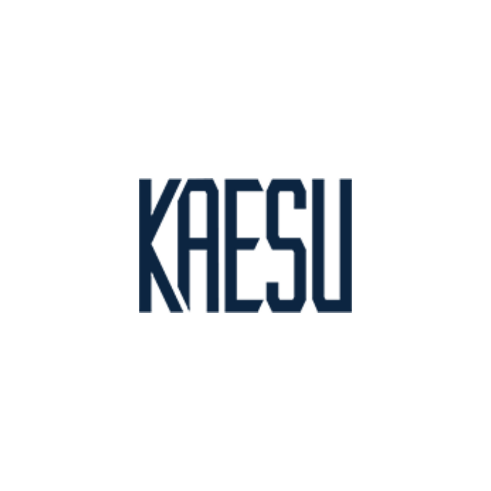 Kaesu Japanese JDM fishing lures lineup showcasing precision-crafted predator angling tackle from Osaka
