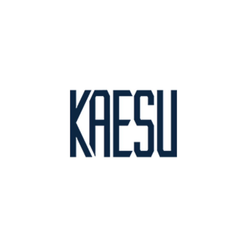Kaesu Japanese JDM fishing lures lineup showcasing precision-crafted predator angling tackle from Osaka