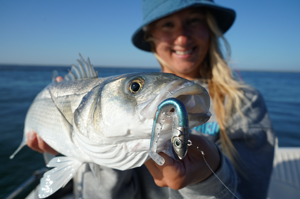 Angler catching seabass using fishing lure in coastal waters