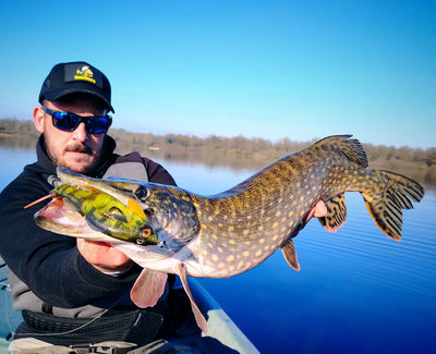 Chasebaits Swim Dusty