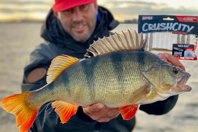 Rapala Crushcity Ned's BLT