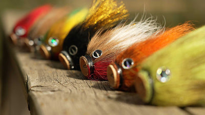 VMC Mustache Shallow