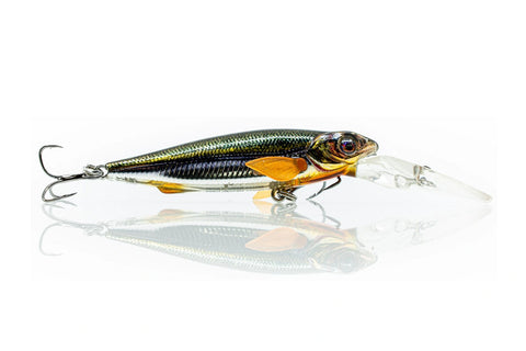 Chasebaits Gutsy Minnow