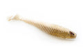 Chasebaits Paddle Bait 7,5cm (3")