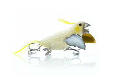bird that will lure fish with bait Chasebaits The Smuggler