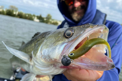 Snoekbaars gevangen op de DSTYLE Virola 6"